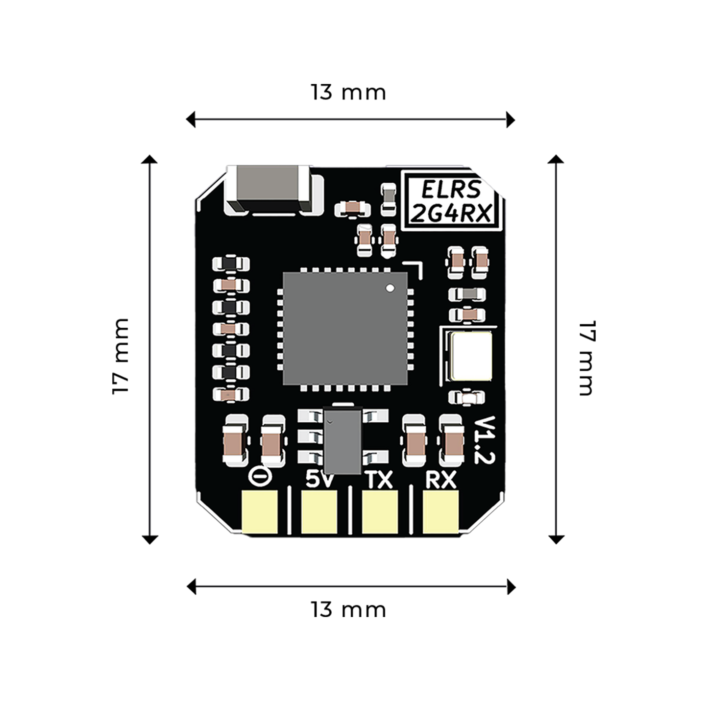 BotLink 2.4GHz ELRS V1
